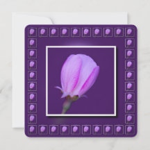 Rosa und Lila Frühlingsblüte