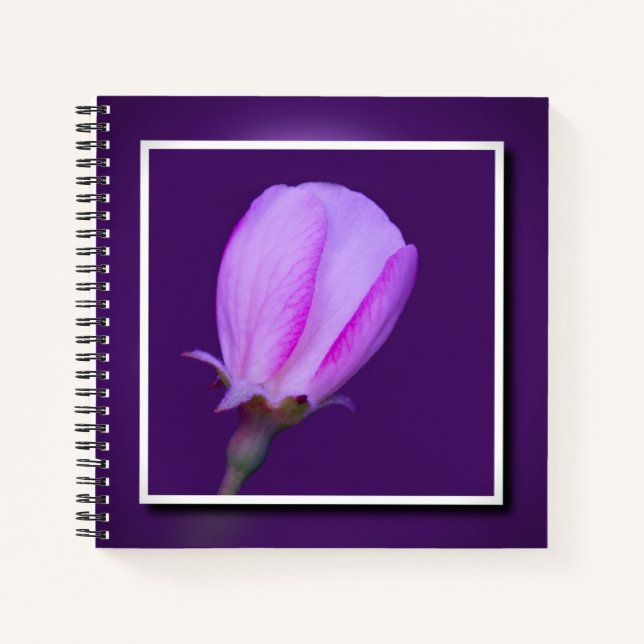 Rosa und Lila Frühlingsbrunch Elegantes Blumenmoti Notizbuch (Vorderseite)