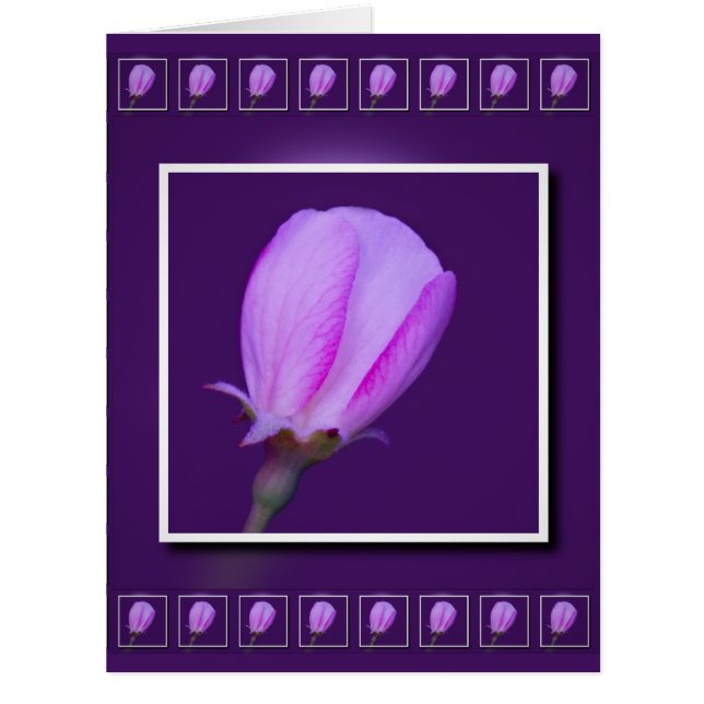 Rosa und Lila Frühlingskarte (Vorderseite)