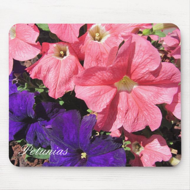 Rosa und Lila Petunias Mousepad (Vorne)