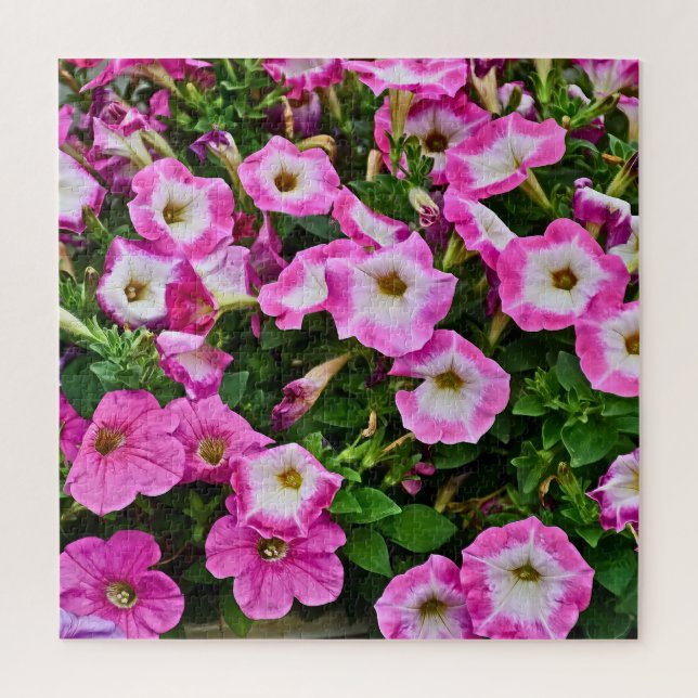 Rosa und lila Petunien (Vertikal)