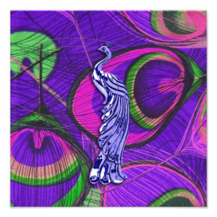 Rosa und lila Pfau Fotodruck