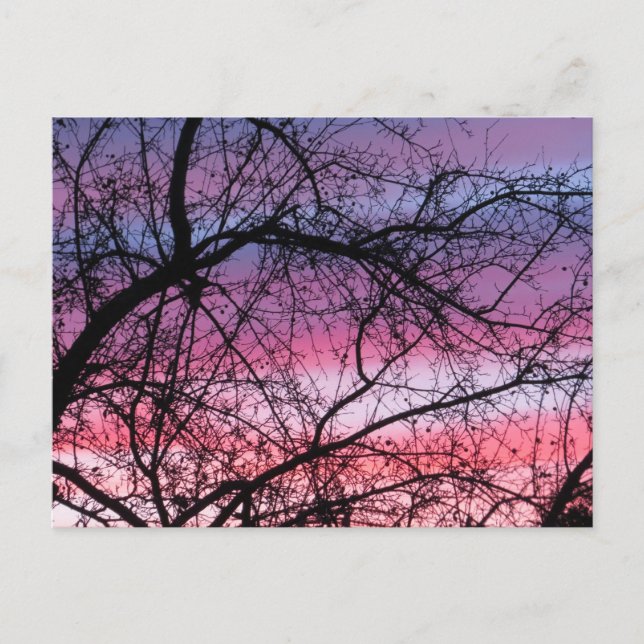 Rosa und Lila Sonnenuntergänge Postkarte (Vorderseite)