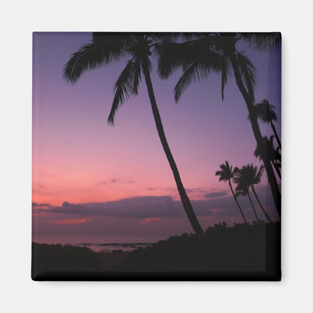 Rosa und lila tropischer Sonnenuntergangsmagnet Magnet (Vorne)
