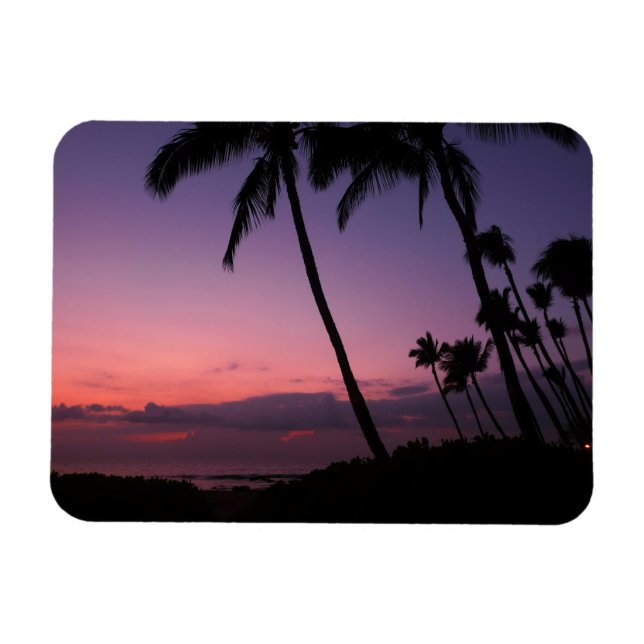 Rosa und lila tropischer Sonnenuntergangsrechteckm Magnet (Horizontal)