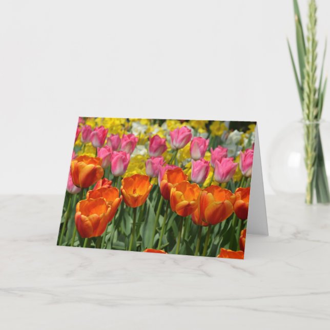 Rosa und orangefarbene Frühlingstulpen Grußkarte Karte (Vorderseite)