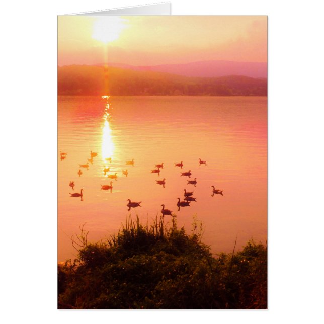 Rosa und pfirsichfarbene Seeufer (Vorne)