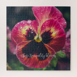 Rosa und rote Blume mit Regentropfen