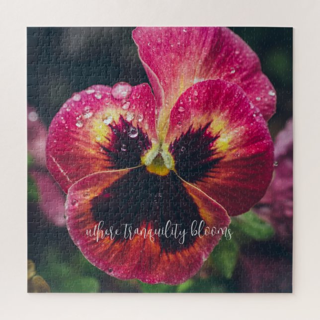 Rosa und rote Blume mit Regentropfen (Vertikal)