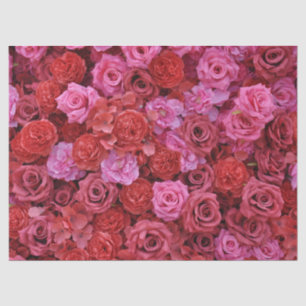 Rosa und rote Rosen Blumenmuster Seidenpapier