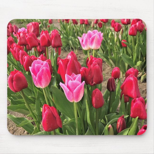 Rosa und Rote Tulissen Mousepad (Vorne)
