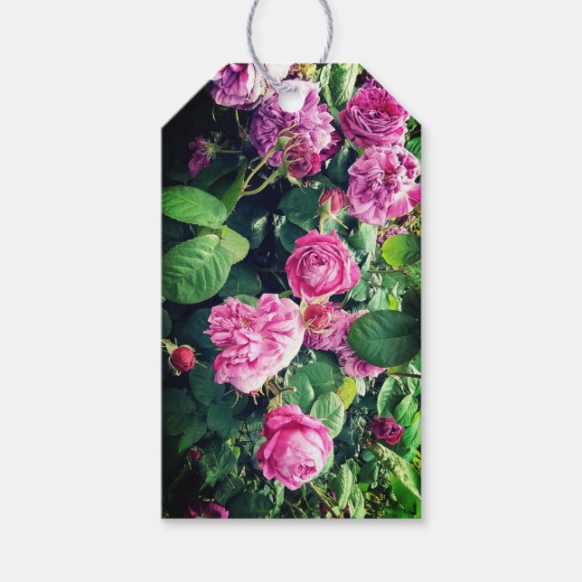 Rosa und violette Blumen Geschenkanhänger (Vorderseite)