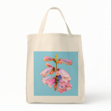 Rosa und violette Blumen