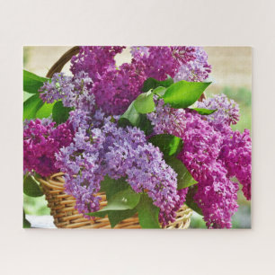 Rosa und violette Frühlingsfliederblüten in einem 