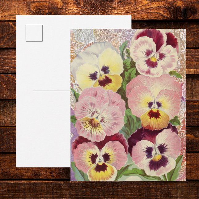 Rosa und violette Stiefmütterchen und Spitze-Ephem Postkarte (Von Creator hochgeladen)