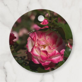 Rosa und Weiß Geschenkanhänger