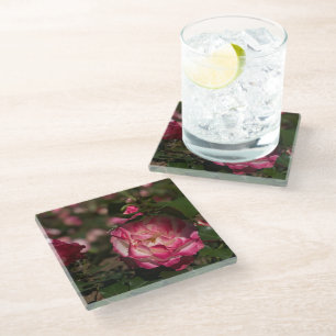 Rosa und Weiß Glasuntersetzer
