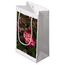 Rosa und Weiß