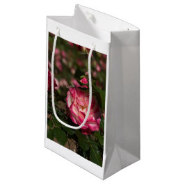 Rosa und Weiß Kleine Geschenktüte