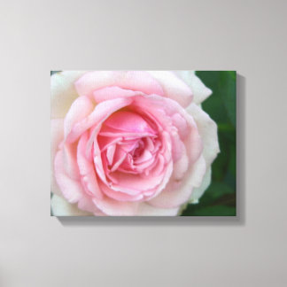 Rosa und Weiß Leinwanddruck