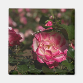 Rosa und Weiß Magnet