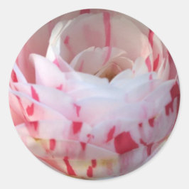 Rosa und Weiß Runder Aufkleber