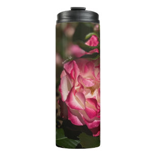 Rosa und Weiß Thermosbecher