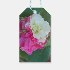 Rosa und Weiß veränderbarer Hibiskus blühen Geschenkanhänger