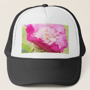 Rosa und Weiß veränderbarer Hibiskus blühen Truckerkappe