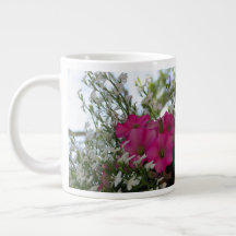 Rosa und weiße Blume - Martha's Vineyard