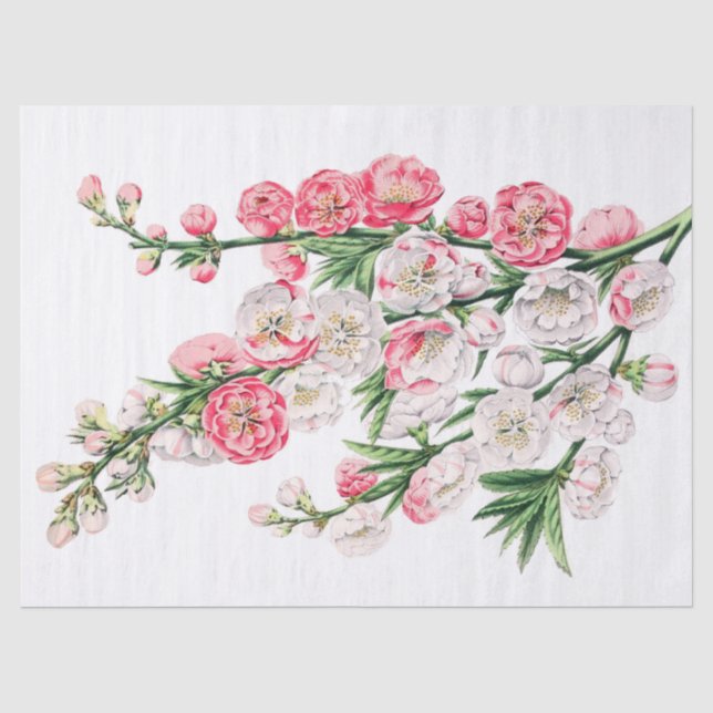 Rosa und weiße Blume sprüht Seidenpapier (Vorderseite)