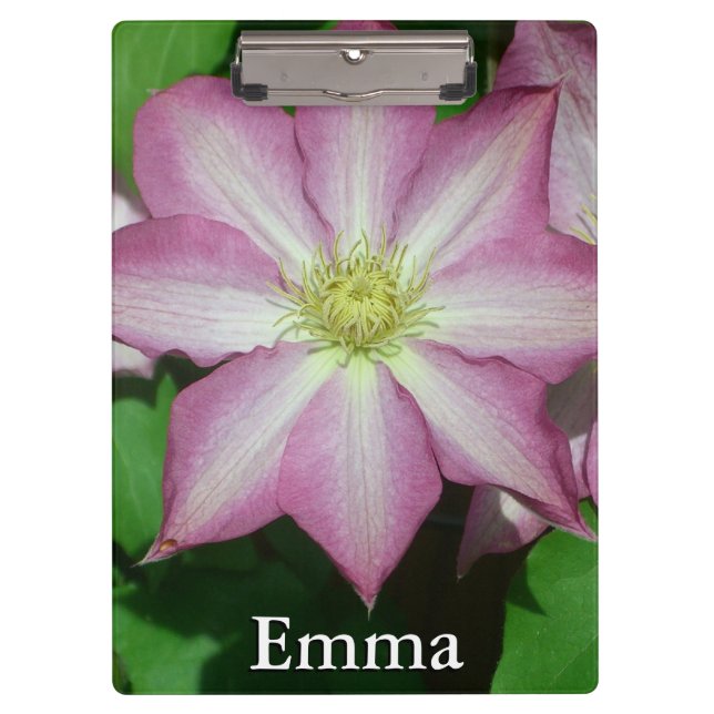 Rosa und weiße Clematien Frühlingszeit Blume Klemmbrett (Vorderseite)
