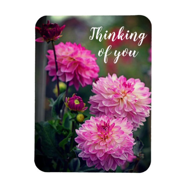 Rosa und weiße Dahlia Blume Denken Sie an Sie Magnet (Vertikal)