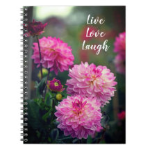 Rosa und weiße Dahlia Blume Motivierend