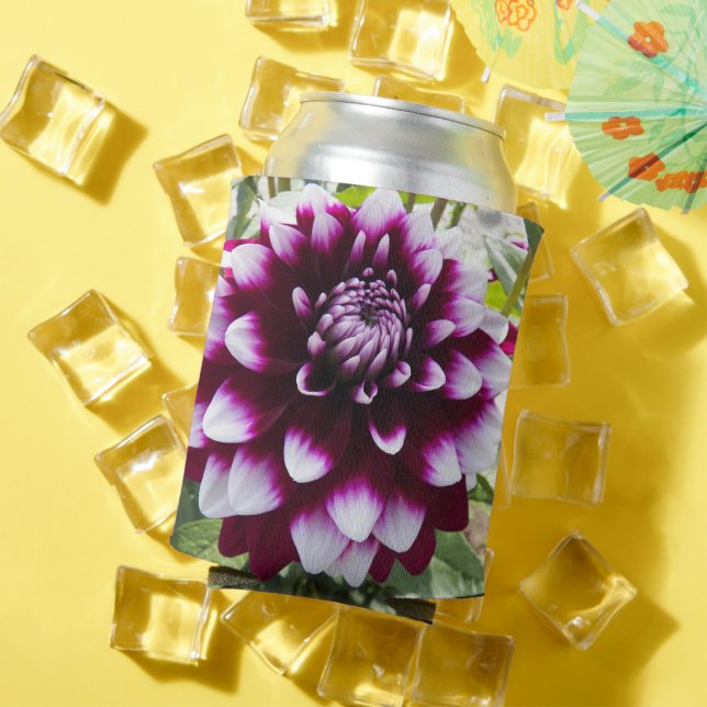 Rosa und weiße Dahlia Floral Dose Cooler Dosenkühler (In Situ Sommer)