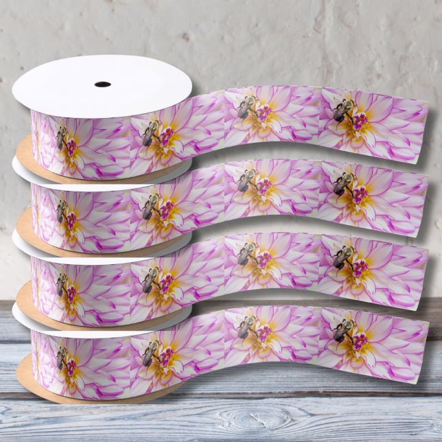 Rosa und weiße Dahlie mit Hummelband Satinband (Von Creator hochgeladen)