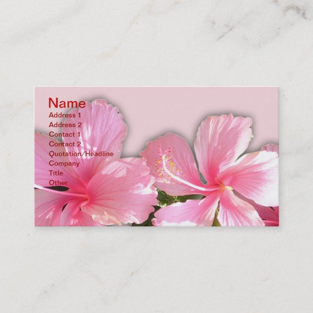 Rosa und weiße hawaiianische Hibiskus-Visitenkarte Visitenkarte (Vorderseite)