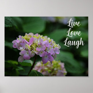 Rosa und weiße Hydrangea-Blume Motivierend Poster
