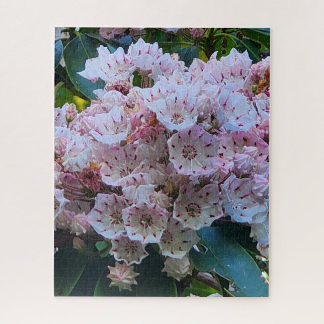 Rosa und weiße Laurel Blume (Vertikal)