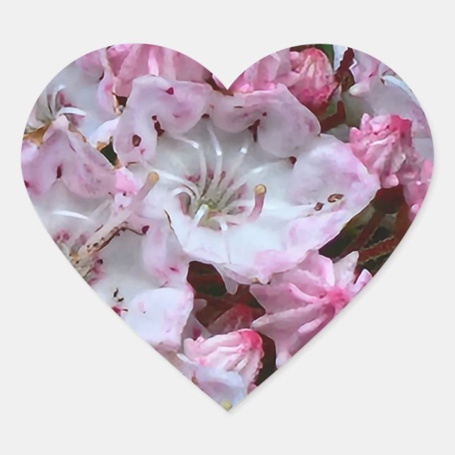 Rosa und weiße Laurel Blume Herz-Aufkleber (Vorderseite)