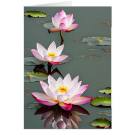Rosa und weiße Lotus-Blume auf der Teichkarte