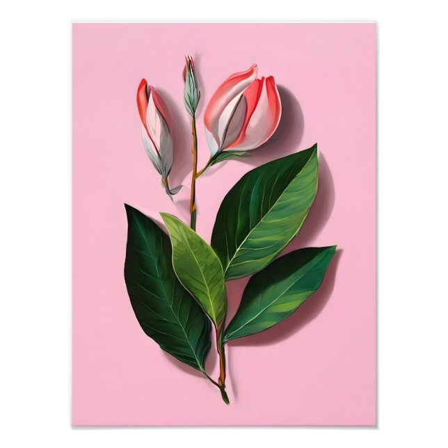 Rosa und weiße Magnolische Blume Fotodruck (Vorne)