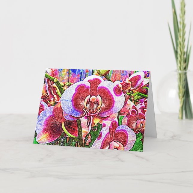 Rosa und weiße Orchid-Blume Karte (Vorderseite)