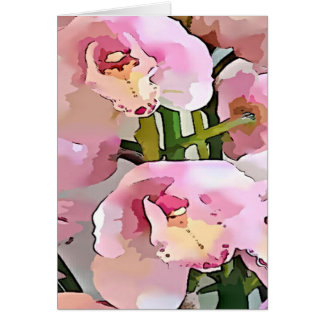 Rosa und Weiße Orchidee