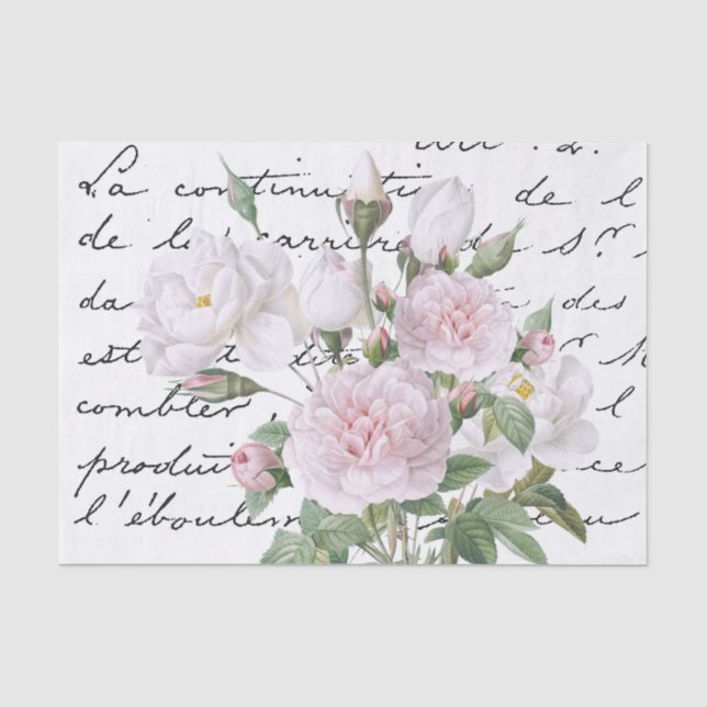 Rosa und weiße Redouté-Rose Französisches Script V Seidenpapier (Vorderseite)