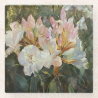Rosa und weiße Rhododendren Tiefgrüne Foliage
