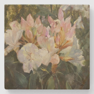 Rosa und weiße Rhododendren Tiefgrüne Foliage Steinuntersetzer