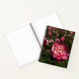 Rosa und Weiße Rose, Hardcover Notizbuch