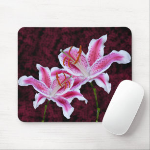 Rosa und weiße Stargazer-Lilien-nahe hohe Mousepad
