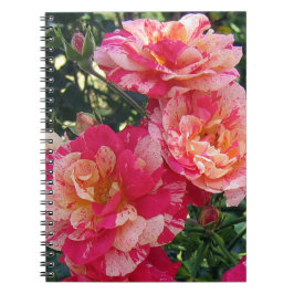 Rosa und weiße Streifen Rose Blumenstrauß Klein Notizblock